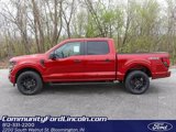 New 2025 Ford F150 STX w/ STX Black Appearance Package image 3