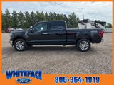 New 2025 Ford F150 Lariat w/ Equipment Group 502A High image 3