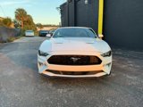 Used 2019 Ford Mustang Premium image 2