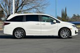 New 2025 Honda Odyssey Touring image 3