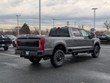 New 2025 Ford F250 Platinum image 3
