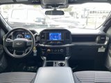 Used 2022 Ford F150 XL w/ STX Black Appearance Package image 5