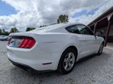Used 2019 Ford Mustang Coupe image 4