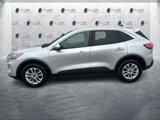 Used 2020 Ford Escape SE image 2