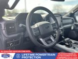 New 2025 Ford F150 XLT w/ Equipment Group 303A High image 2