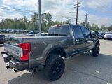Used 2019 Ford F250 Platinum w/ Platinum Ultimate Package image 6