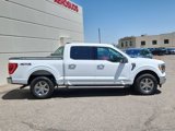 Used 2023 Ford F150 XLT w/ Equipment Group 302A High image 2
