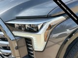 New 2025 Toyota Tundra Platinum image 4