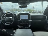 Used 2022 Ford F150 XLT w/ Equipment Group 302A High image 3