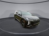 New 2025 Hyundai Palisade Calligraphy image 2