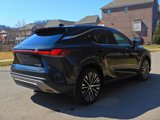 Used 2023 Lexus RX 350 AWD image 6