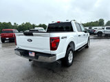 New 2025 Ford F150 XL image 5