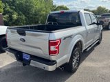 Used 2019 Ford F150 XLT w/ Equipment Group 302A Luxury image 5