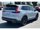 Certified 2024 Honda CR-V Sport-L image 6