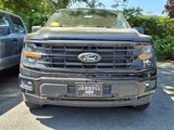 New 2025 Ford F150 XLT w/ Equipment Group 303A High image 2
