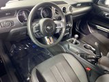 Used 2019 Ford Mustang GT w/ Equipment Group 301A image 4