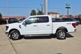 New 2024 Ford F150 XLT w/ Equipment Group 302A MID image 6