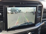 New 2025 Ford F150 STX image 3