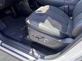 New 2025 Hyundai Palisade Calligraphy image 4