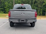 New 2025 Ford F150 XLT w/ Equipment Group 302A MID image 4
