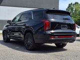 New 2025 Hyundai Palisade Calligraphy image 6