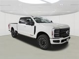 New 2025 Ford F250 Platinum image 3