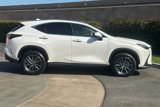 New 2025 Lexus NX 350h AWD w/ Premium Package image 4