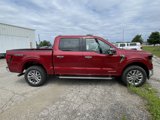New 2025 Ford F150 XLT w/ Equipment Group 302A MID image 5