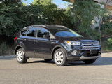 Used 2019 Ford Escape SEL image 3