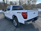 New 2025 Ford F150 XLT w/ Equipment Group 303A High image 5