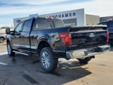New 2025 Ford F150 XLT w/ Equipment Group 302A MID image 4