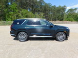New 2025 Hyundai Palisade Calligraphy image 4