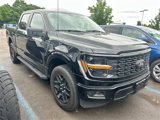 Certified 2024 Ford F150 STX w/ STX Black Appearance Package image 2