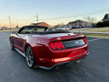 Used 2019 Ford Mustang Premium w/ Equipment Group 201A image 4