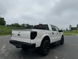 Used 2011 Ford F150 Lariat Limited image 3