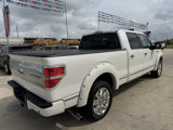Used 2013 Ford F150 Platinum image 4