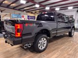 Used 2019 Ford F250 Platinum w/ Platinum Ultimate Package image 5