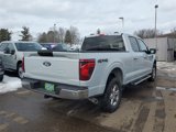 New 2025 Ford F150 XLT w/ Equipment Group 301A Standard image 5