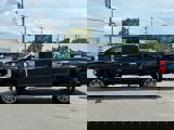New 2025 Ford F250 Platinum image 3