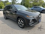 Used 2022 Hyundai Tucson Limited image 3