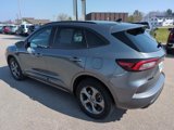 Used 2024 Ford Escape ST-Line image 4
