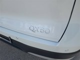 New 2026 INFINITI QX60 Luxe w/ Cargo Package image 5