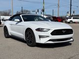 Used 2023 Ford Mustang Premium image 2