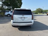 Used 2016 Cadillac Escalade Platinum image 5