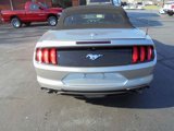 Used 2021 Ford Mustang Premium image 4