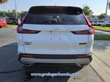 New 2026 Honda CR-V TrailSport image 4