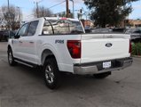 New 2025 Ford F150 XLT w/ Equipment Group 302A MID image 4