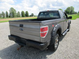 Used 2012 Ford F150 STX w/ STX Decor Pkg image 3
