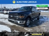 New 2025 Ford F150 XLT w/ Equipment Group 302A MID image 4