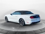 Used 2022 Ford Mustang Premium image 2